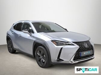 Imagen de LEXUS UX 250h Premium 4WD