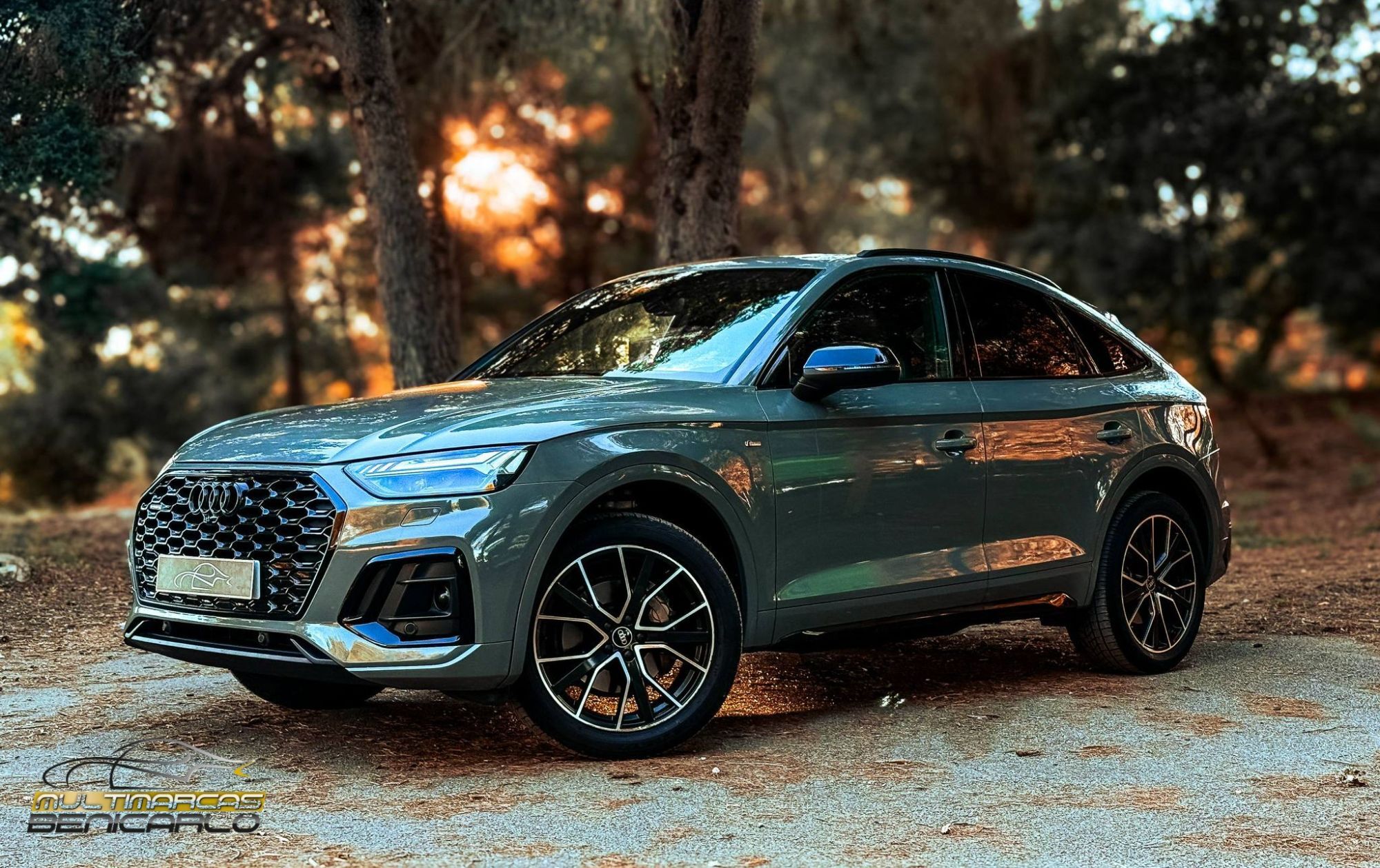 AUDI Q5 (Sportback 40 TDI quattro-ultra Black line S tronic 150kW) en Caste