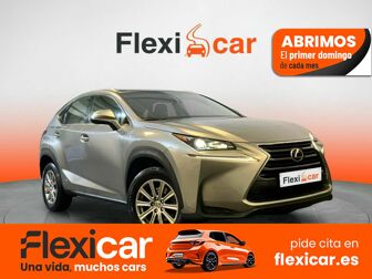 Imagen de LEXUS NX 300h Corporate 2WD