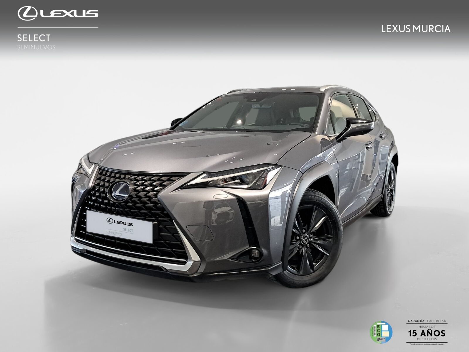 LEXUS UX (UX 250h 2WD BUSINESS) en Murcia