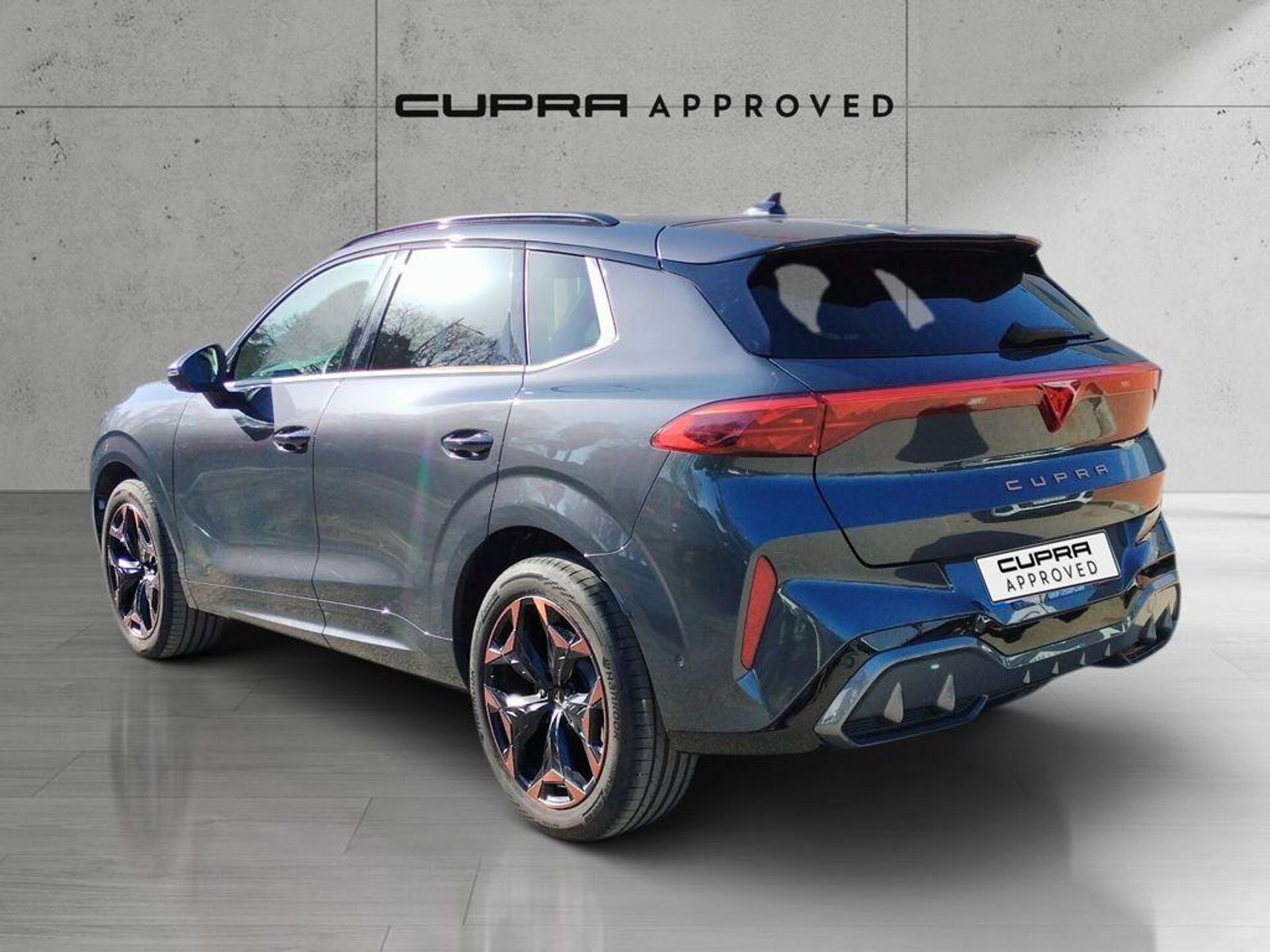 Imagen 2 de CUPRA Terramar