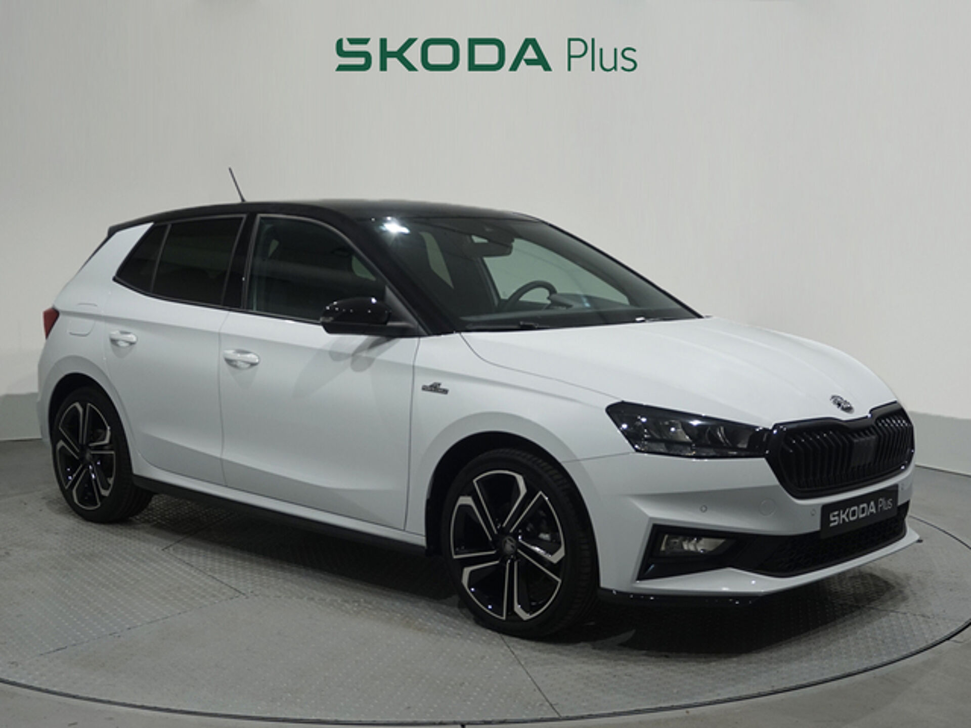 Imagen 1 de SKODA Fabia