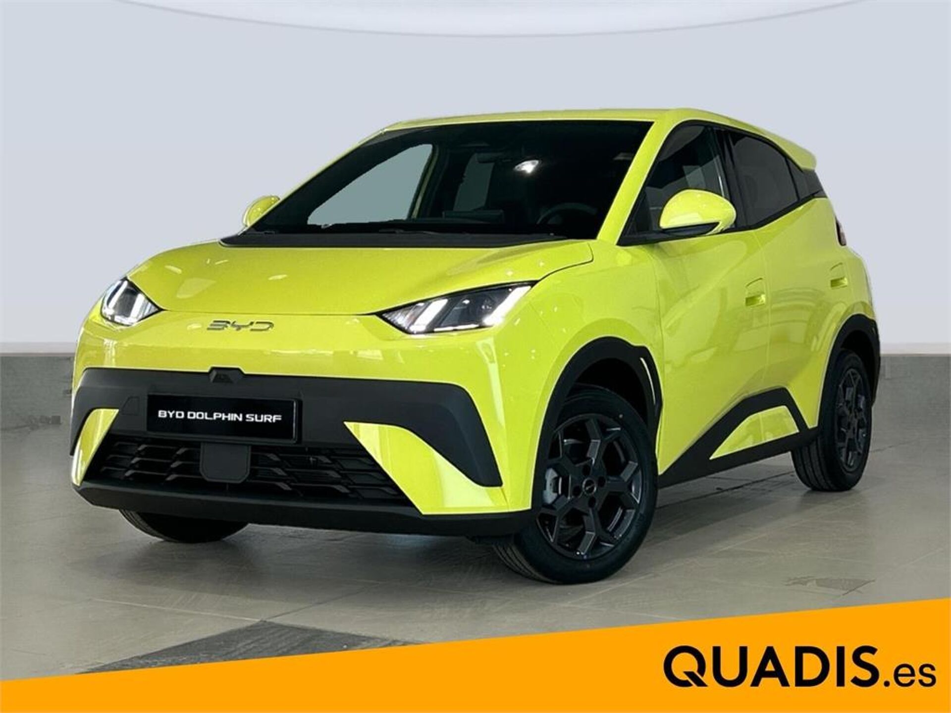 Imagen 1 de BYD Dolphin Surf