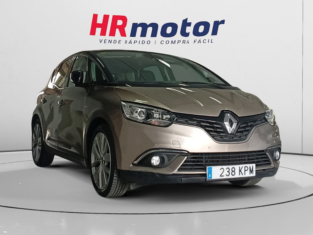 RENAULT Scénic (Limited) en Madrid