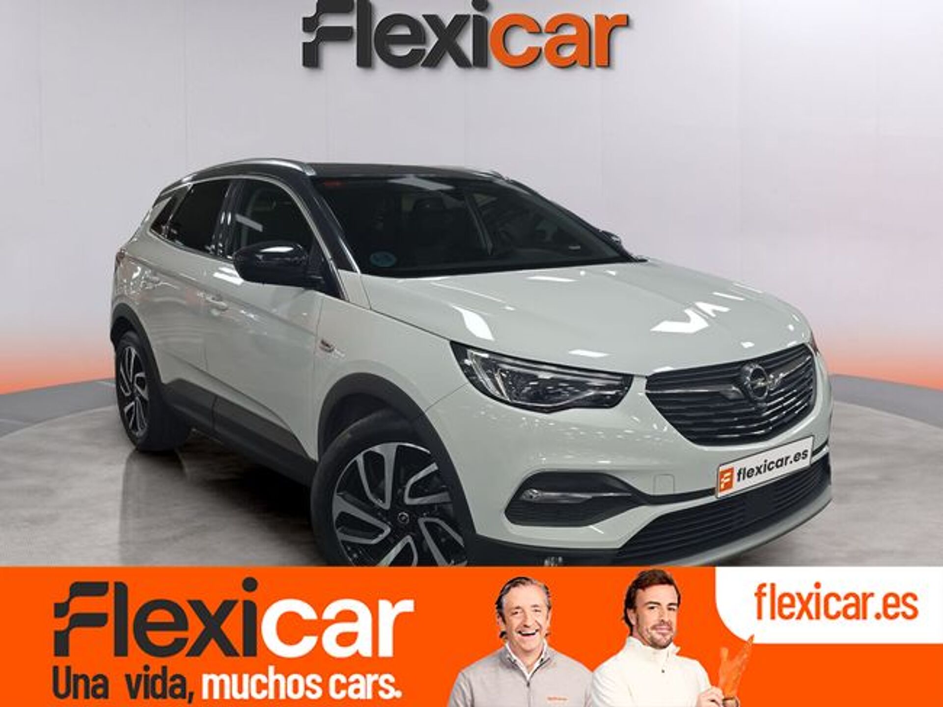Imagen 1 de OPEL Grandland X