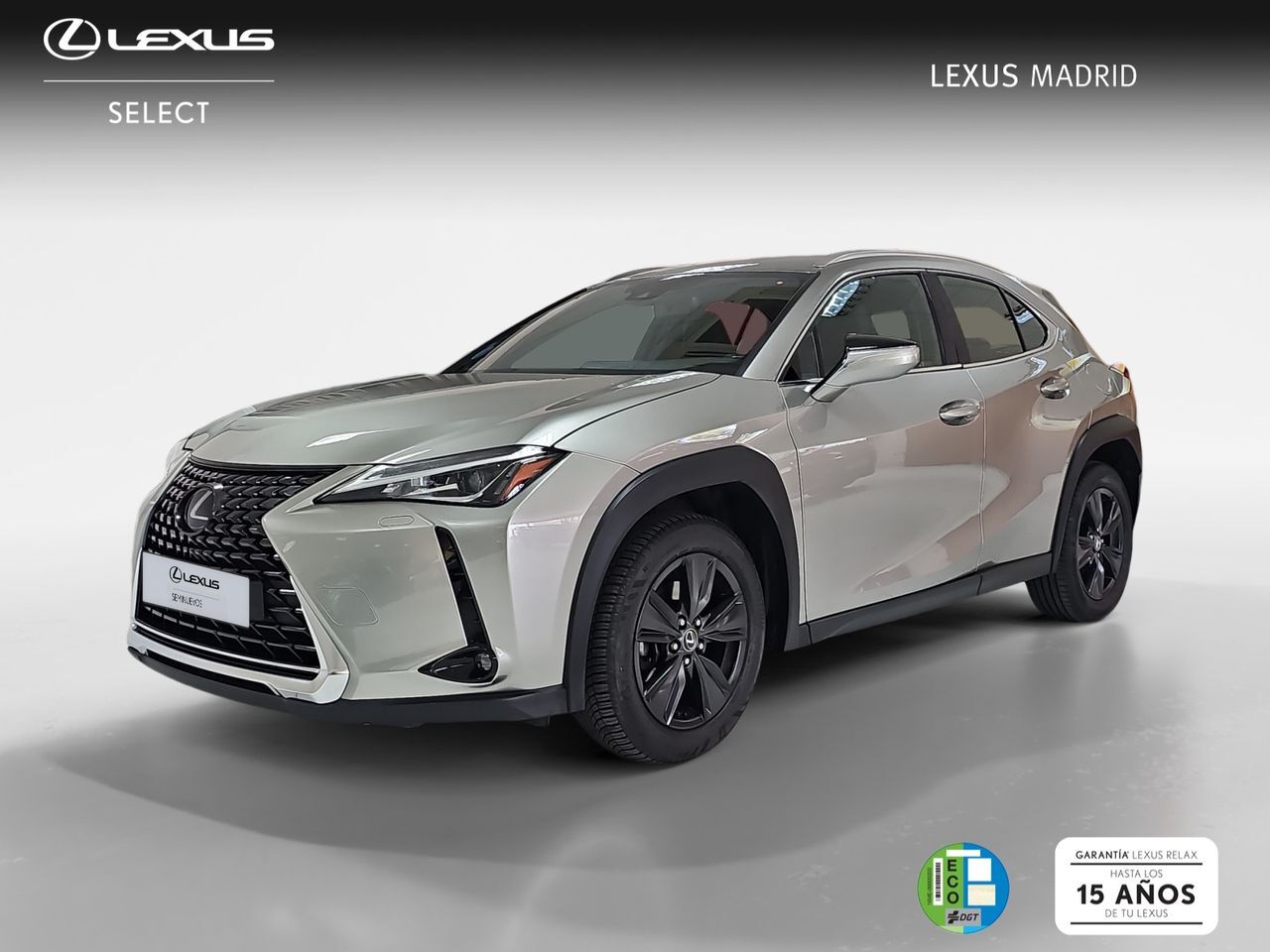 LEXUS UX (2.0 250h Business) en Madrid