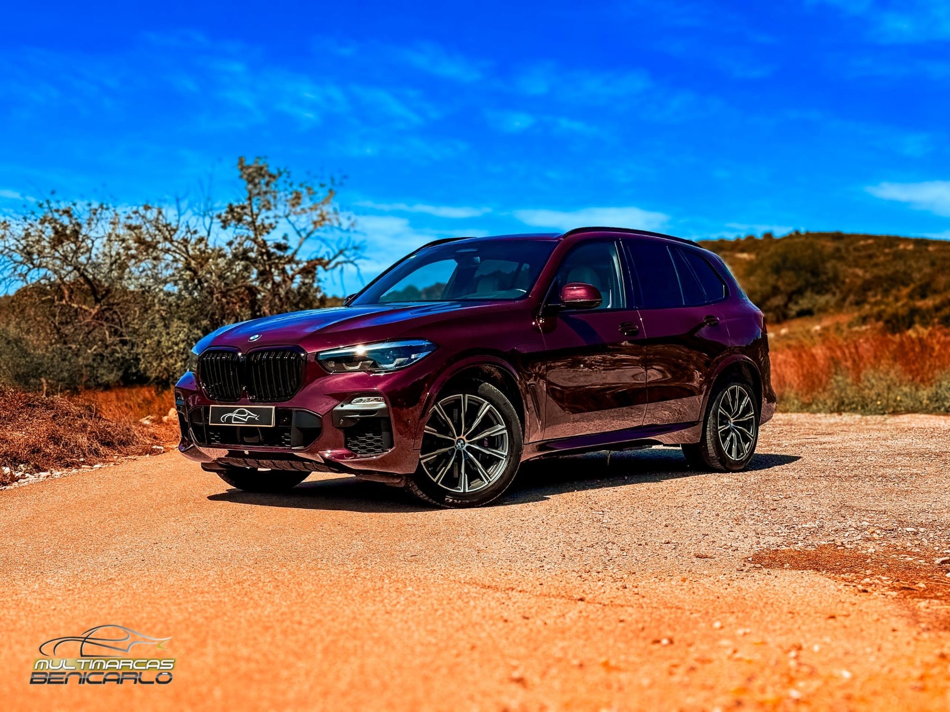 Imagen de BMW X5