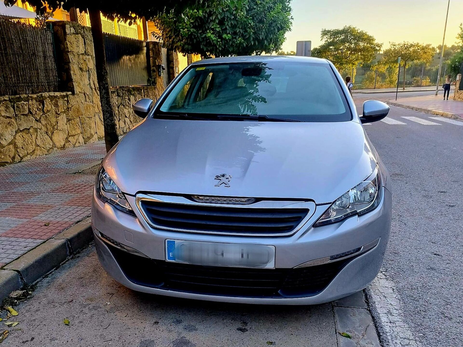 Imagen de PEUGEOT 308