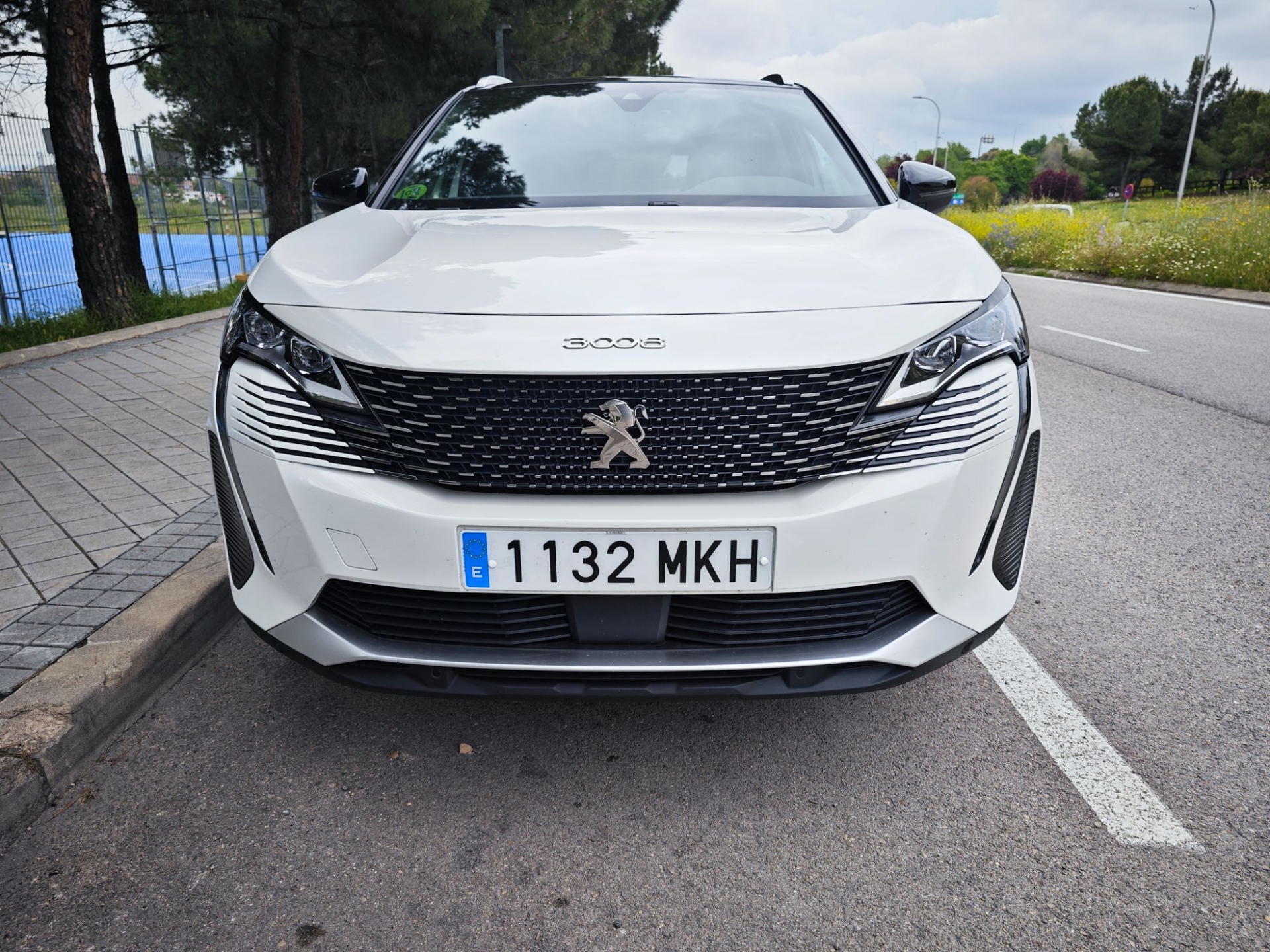 Imagen de PEUGEOT 3008