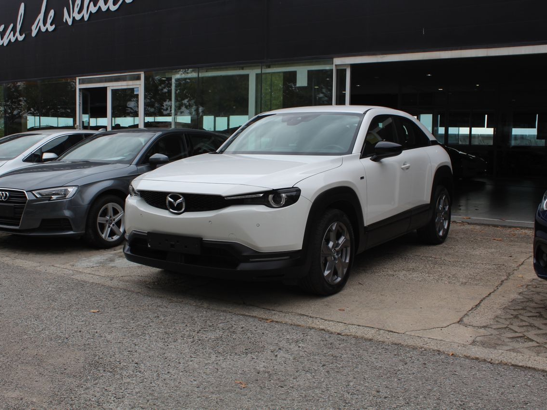 Imagen de MAZDA MX-30