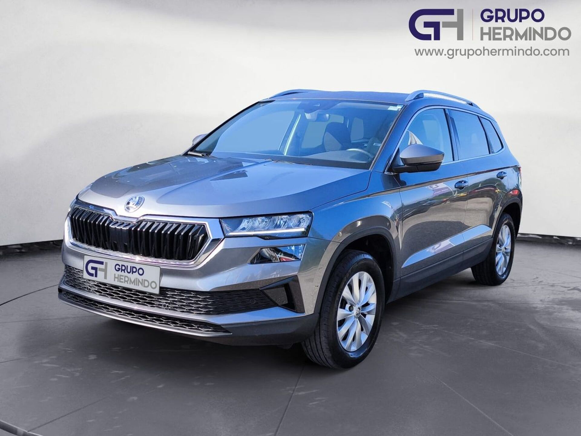 Imagen de SKODA Karoq