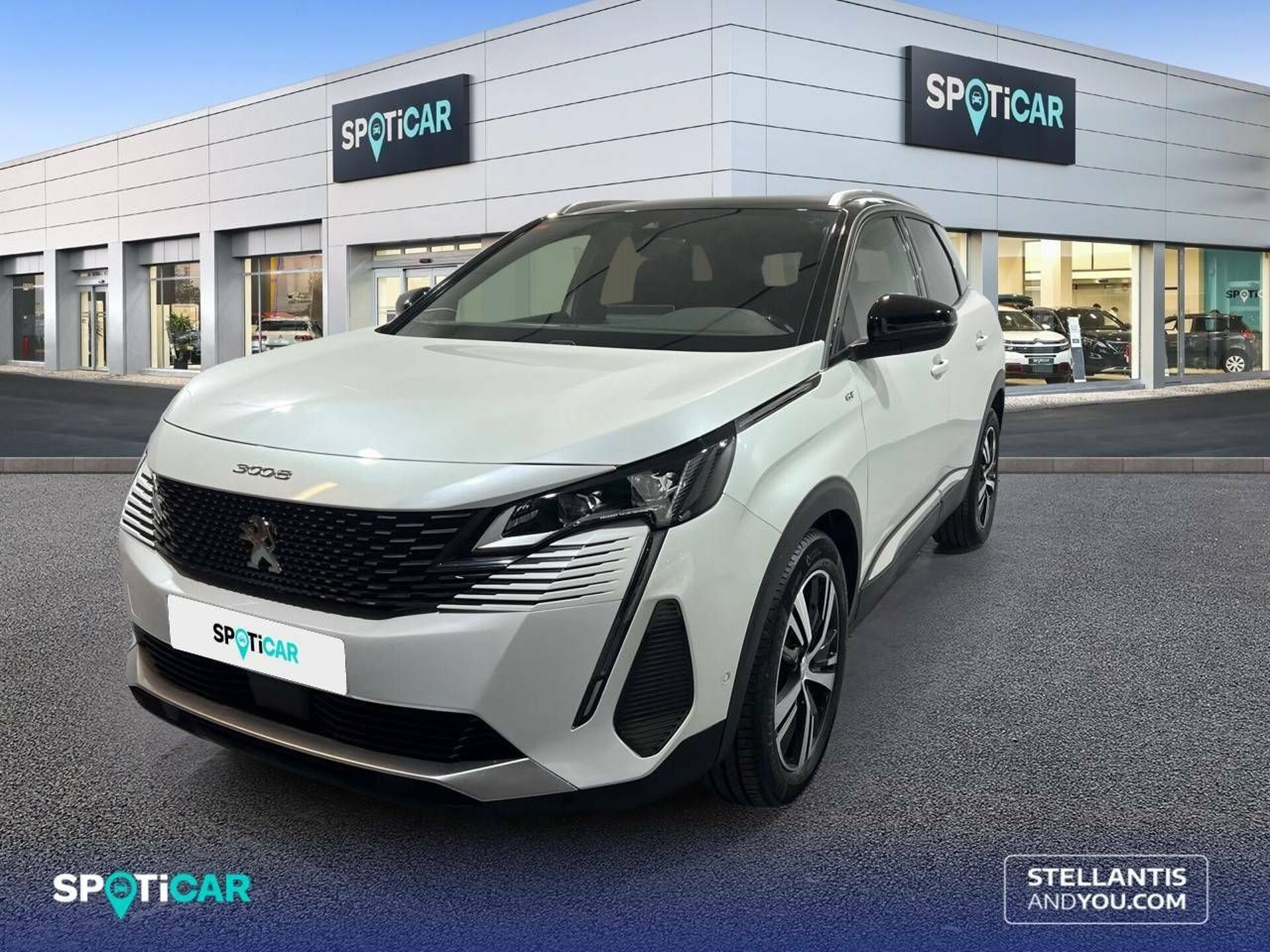 Imagen de PEUGEOT 3008