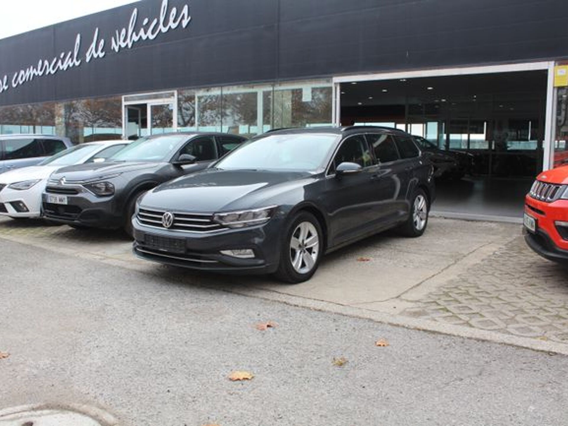 Imagen 1 de VOLKSWAGEN Passat