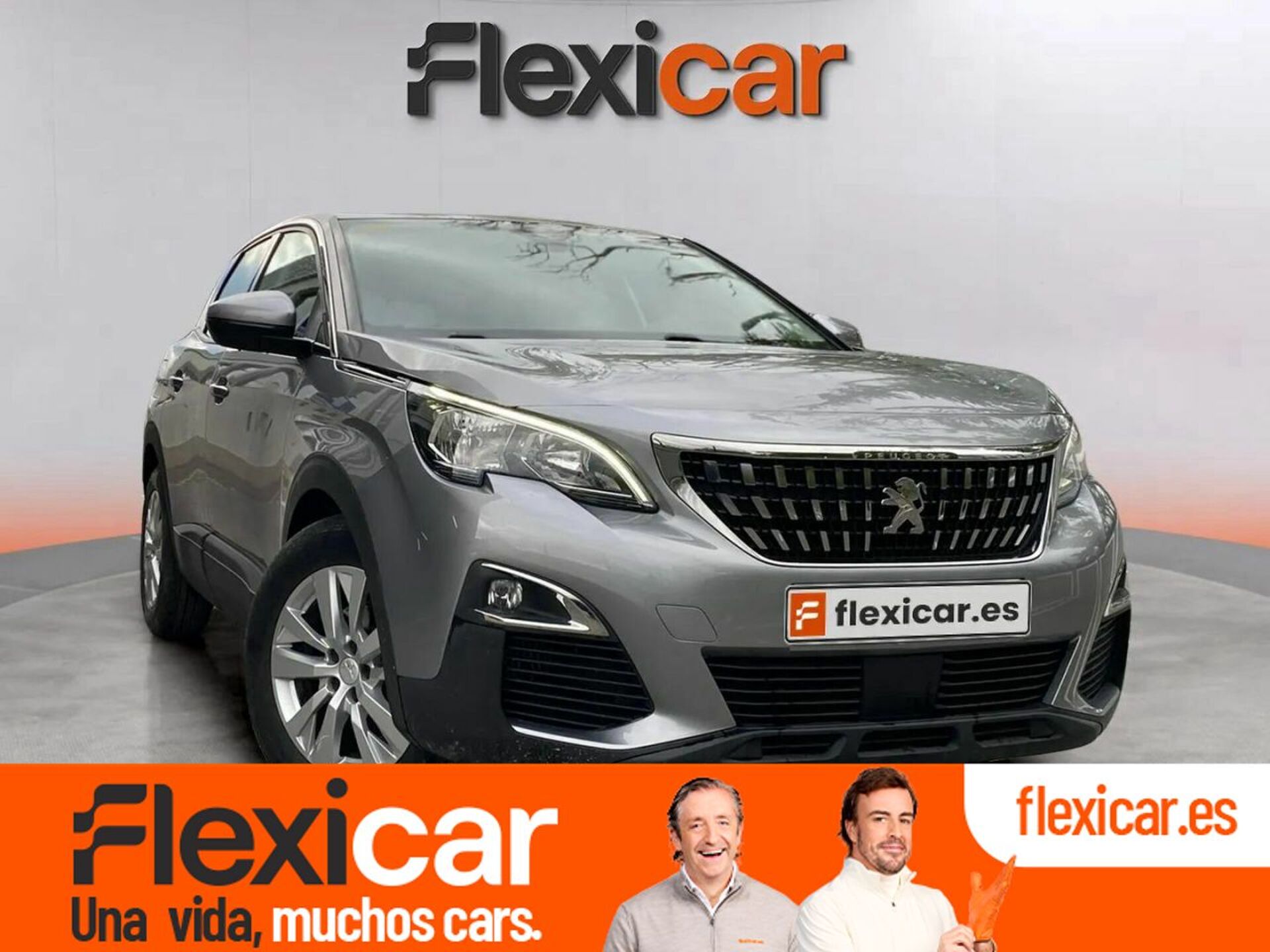 Imagen de PEUGEOT 3008