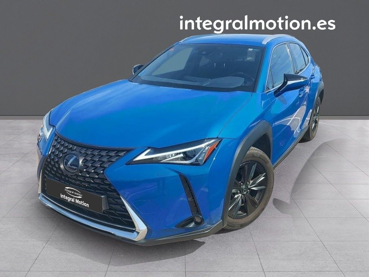 Foto del LEXUS UX 250h Business Navigation 2WD