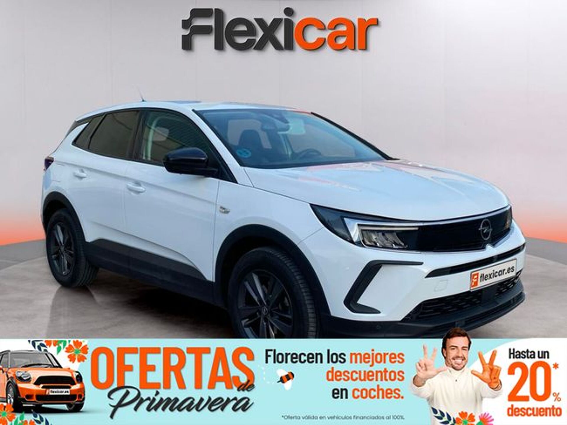 Imagen 1 de OPEL Grandland X