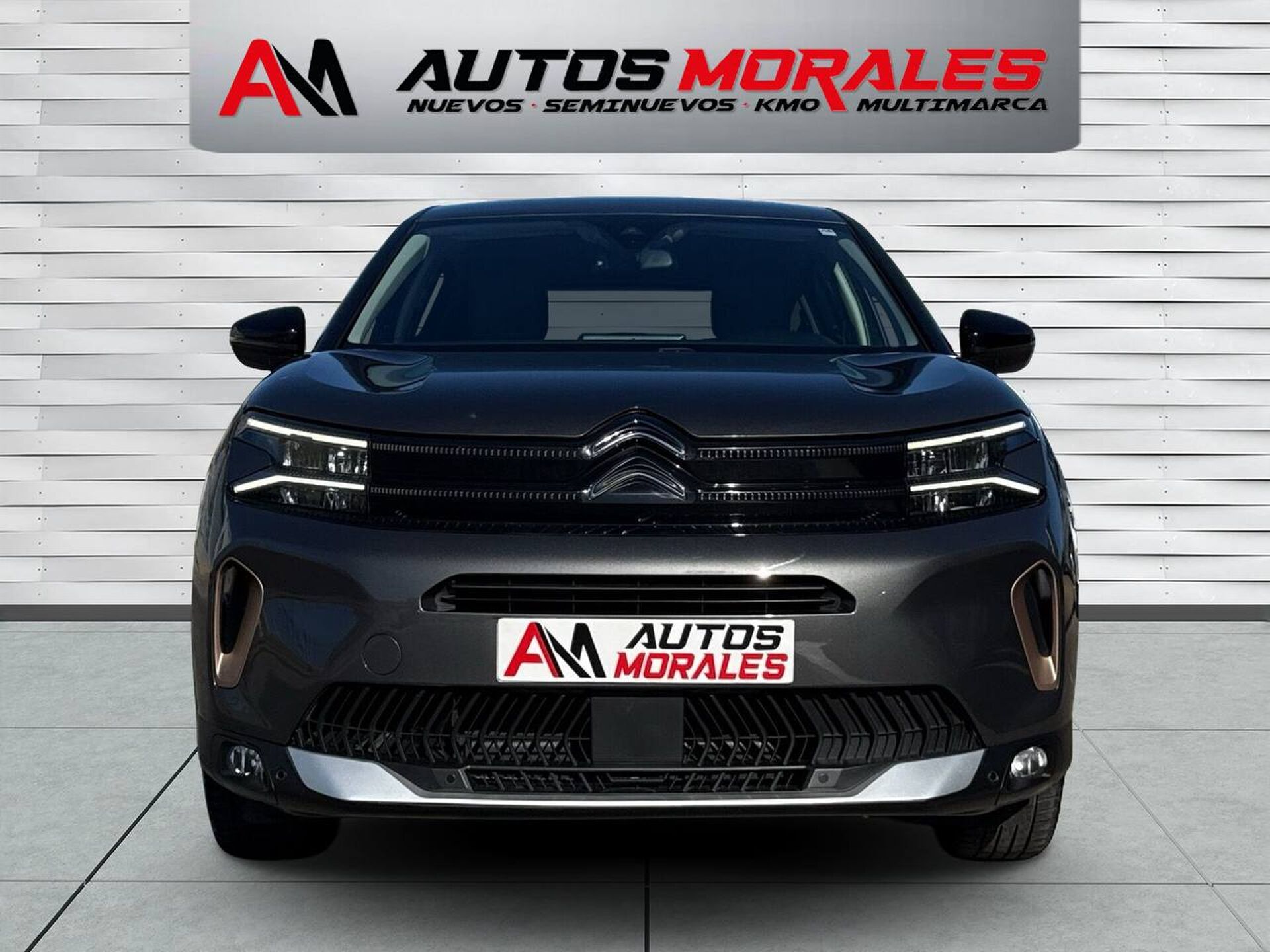 Imagen 1 de CITROEN C5 Aircross