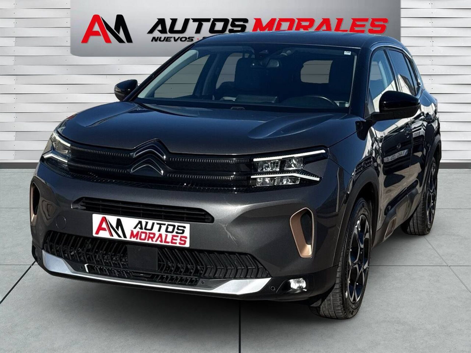 Imagen 2 de CITROEN C5 Aircross