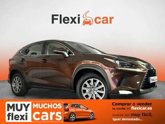 Imagen de LEXUS NX 300h Business Navigation 2WD