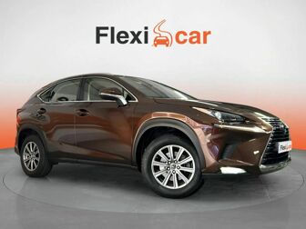 Imagen de LEXUS NX 300h Business Navigation 2WD