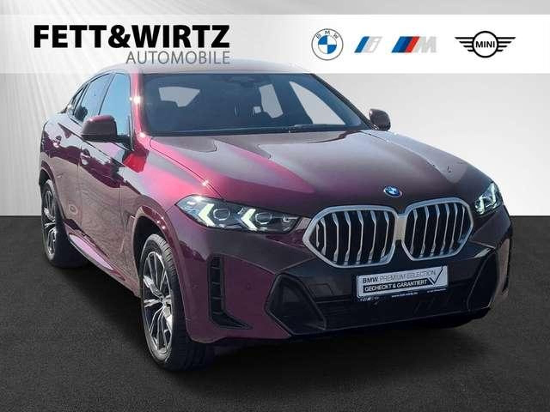 Imagen de BMW X6