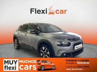 Imagen de CITROEN C4 Cactus 1.2 PureTech S&S Shine 110