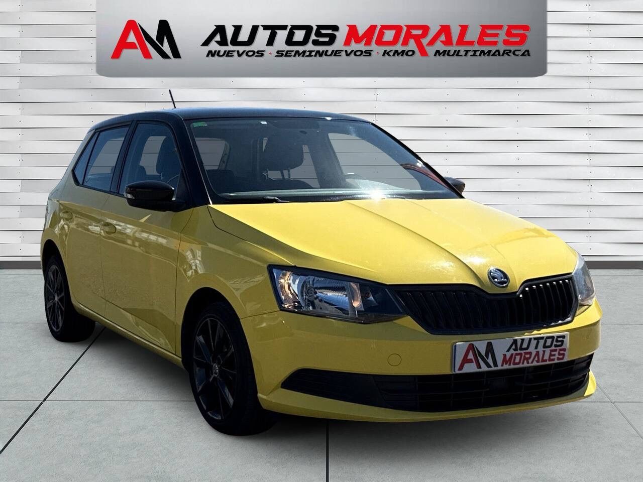 SKODA Fabia (1.0 MPI Ambition 55kW) en Huelva