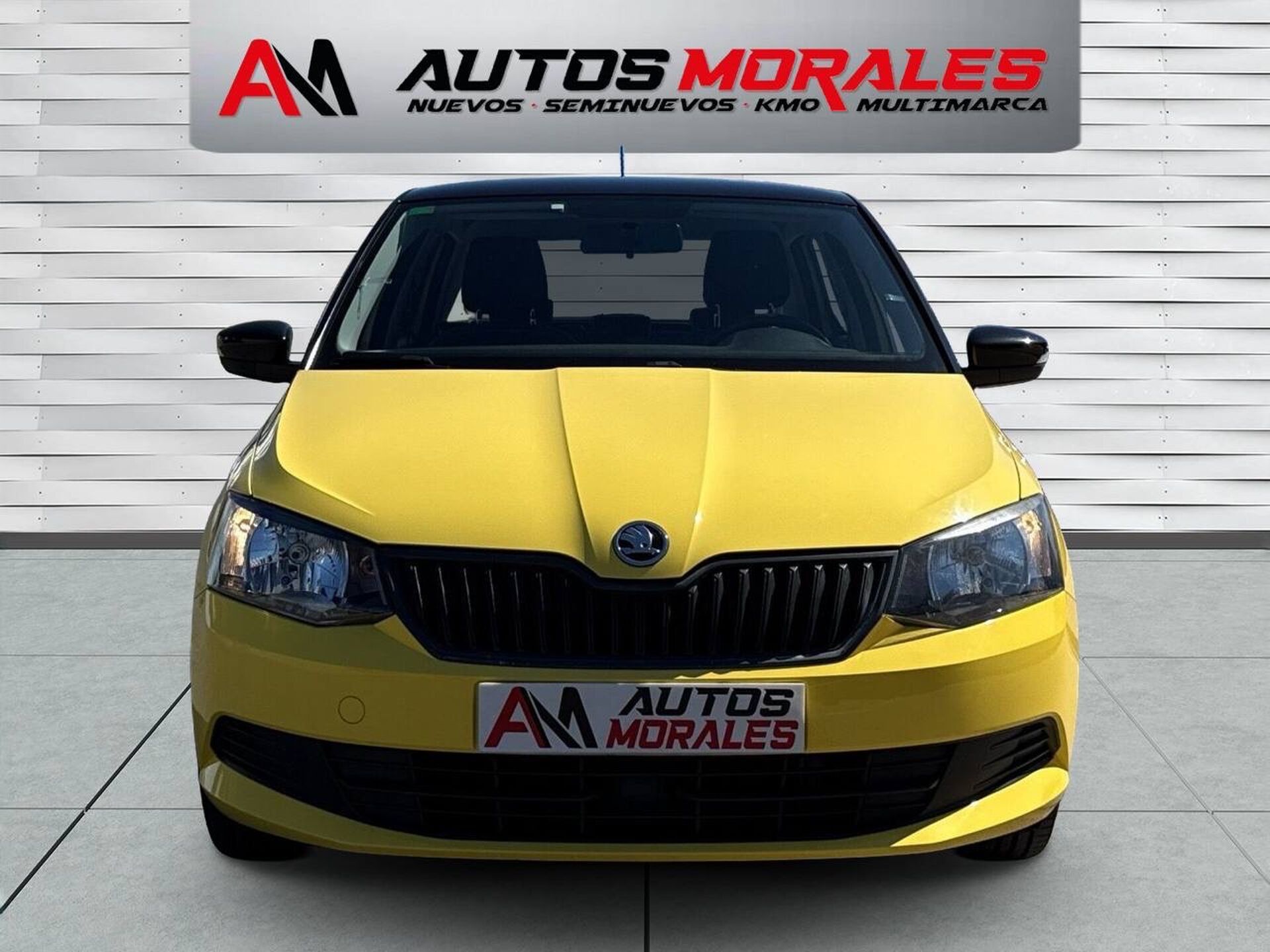 Imagen 2 de SKODA Fabia