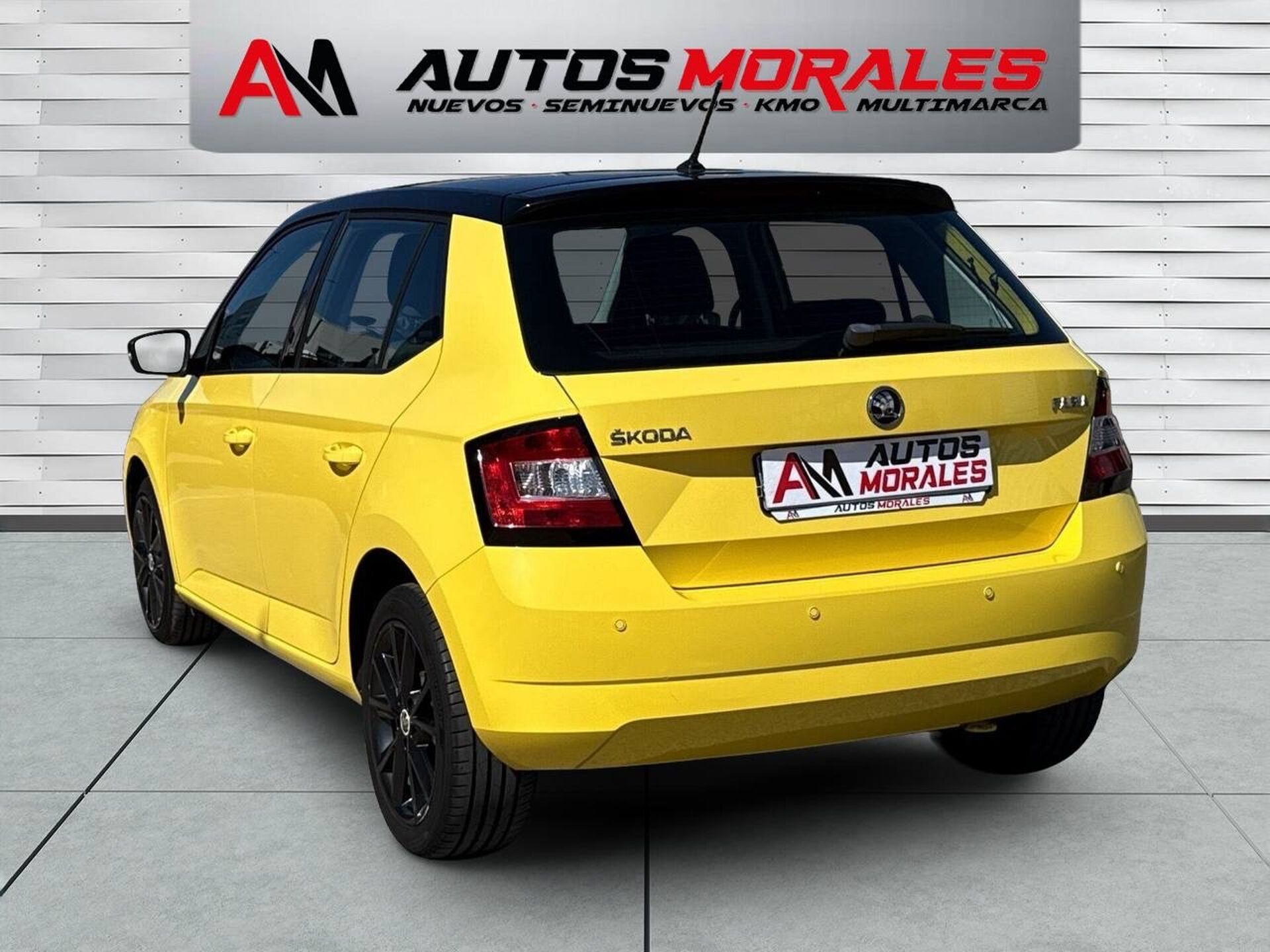 Imagen 3 de SKODA Fabia
