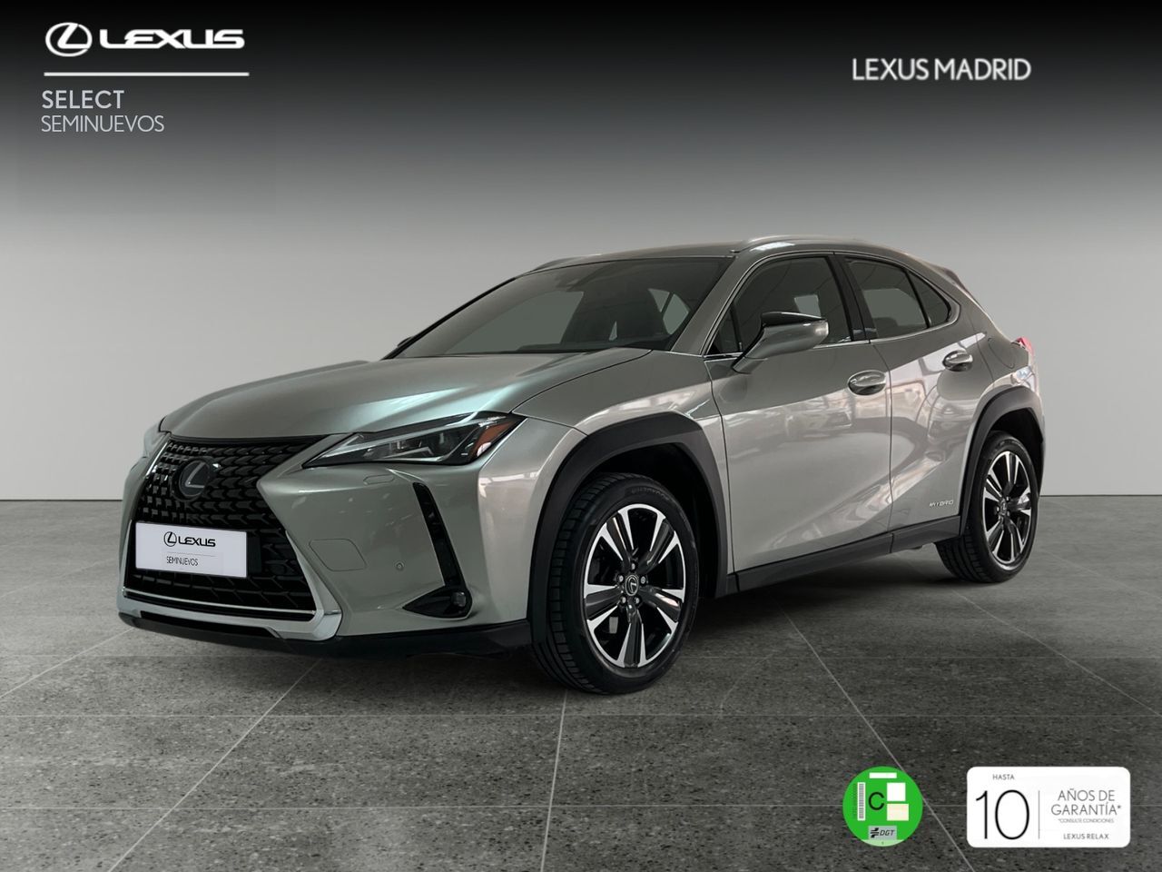 LEXUS UX (2.0 250h Premium) en Madrid
