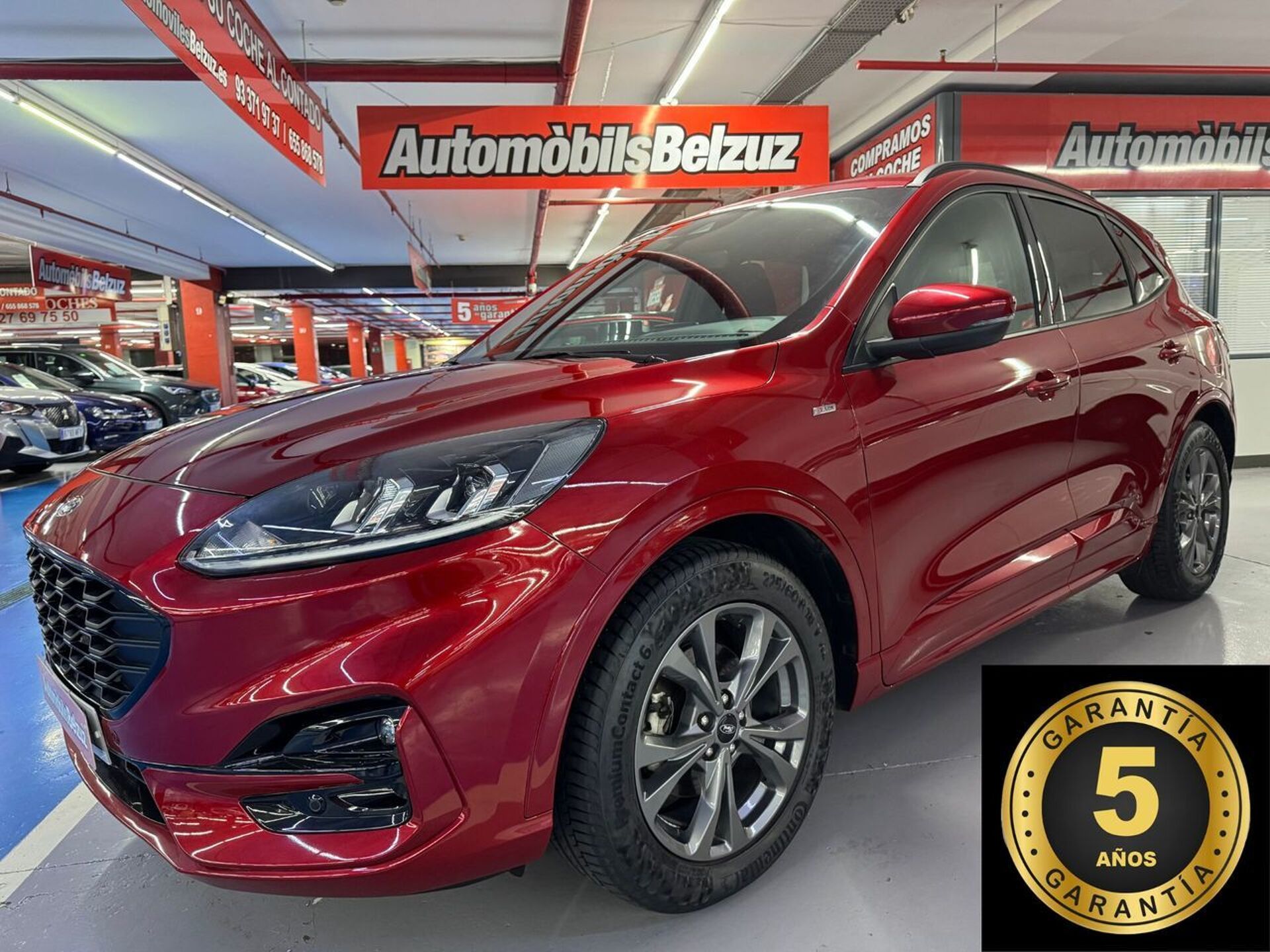 Imagen de FORD Kuga