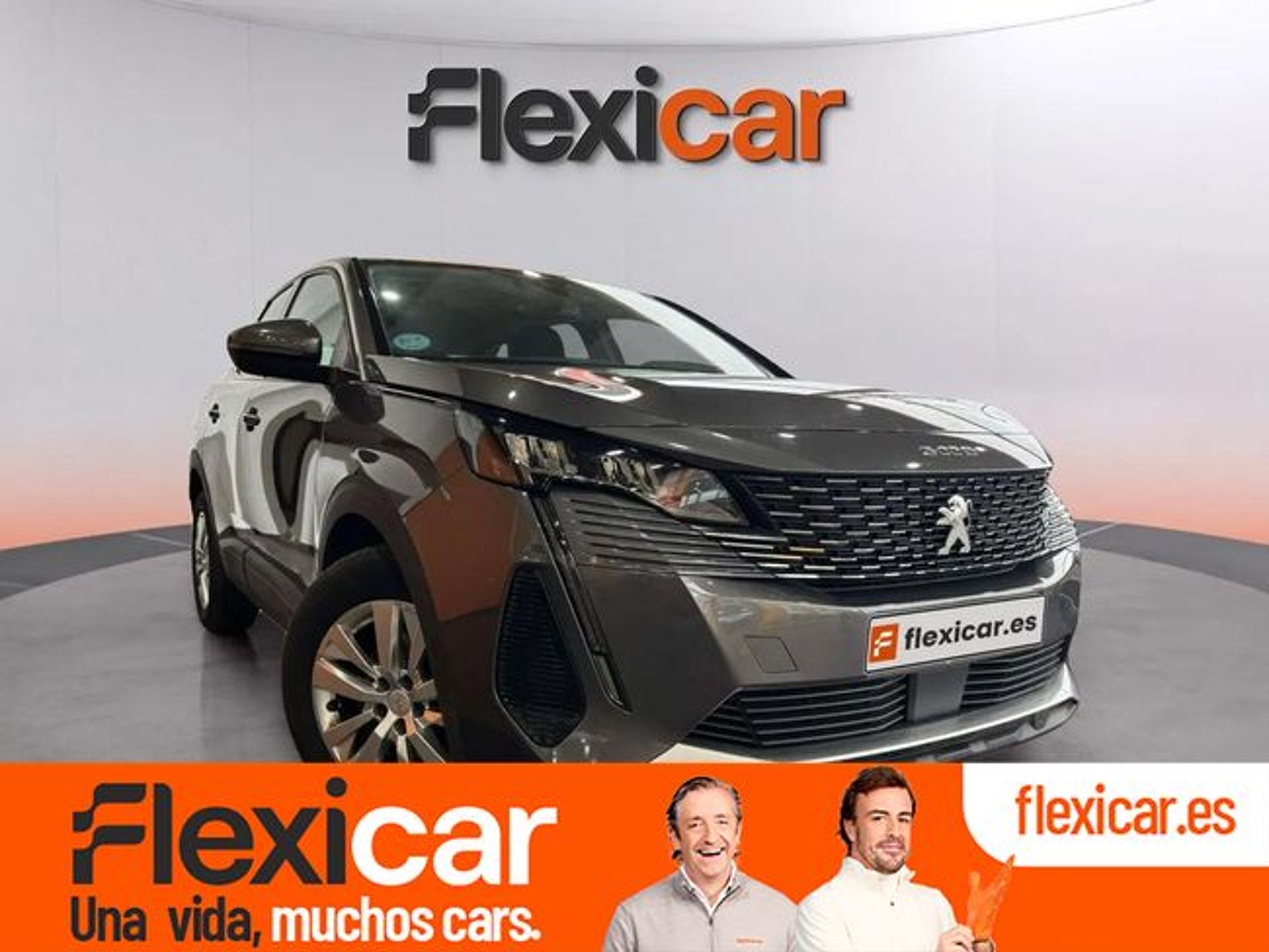 Imagen de PEUGEOT 3008