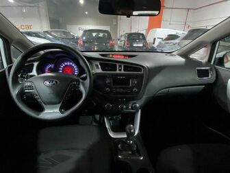 Imagen de KIA Ceed Cee´d 1.0 T-GDI Eco-Dynamics Concept 100