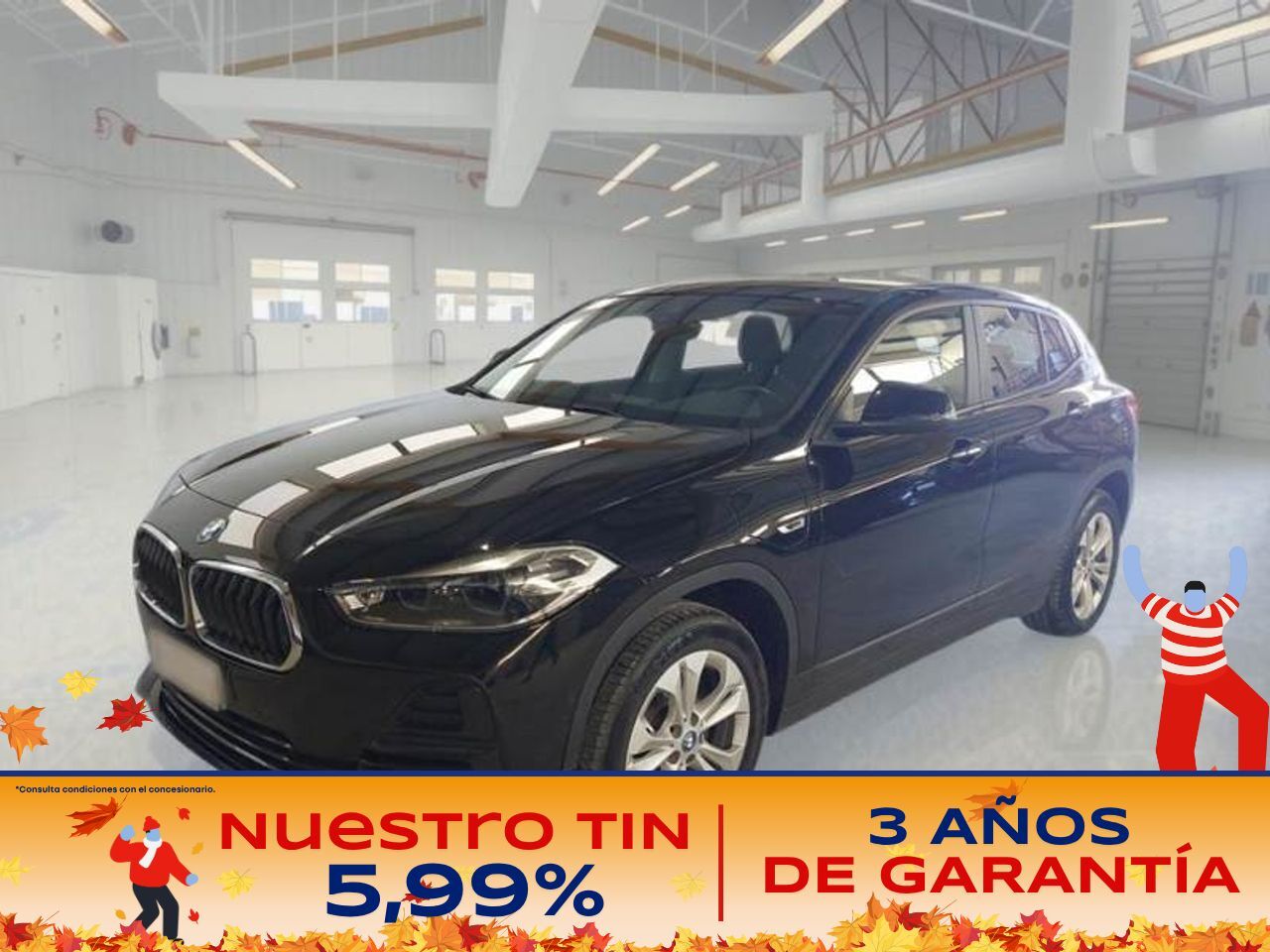 BMW X2 (xDrive25e Auto) en Madrid
