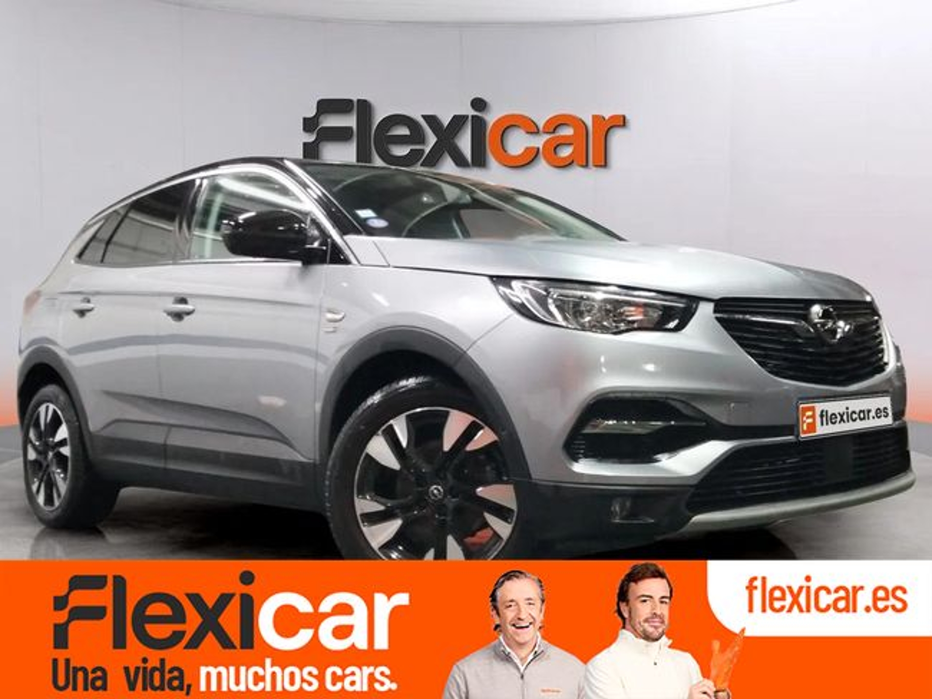 Imagen de OPEL Grandland X