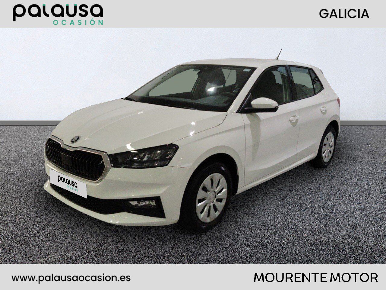 SKODA Fabia (1.0 MPI 59KW GO 80 5P) en Pontevedra