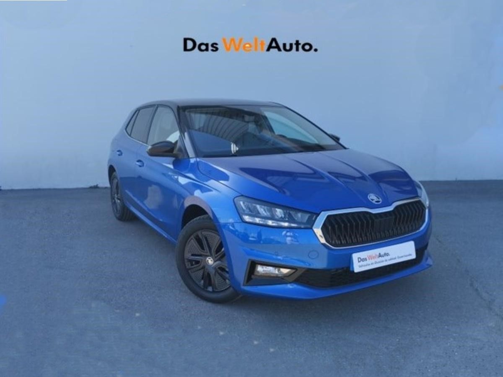 Imagen de SKODA Fabia