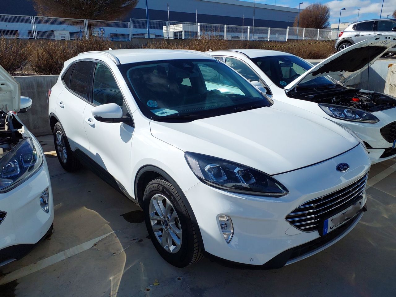 FORD Kuga (Titanium 1.5 EcoBlue 88kW (120CV)) en Madrid
