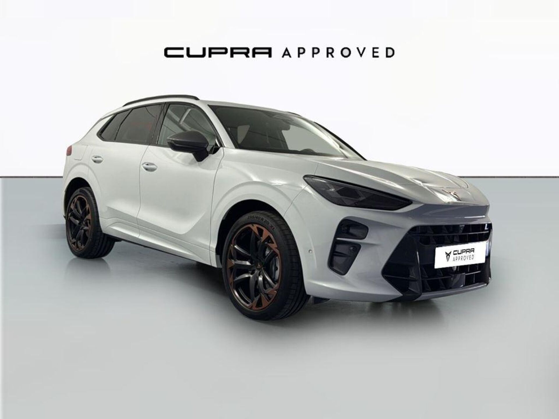 Imagen de CUPRA Terramar