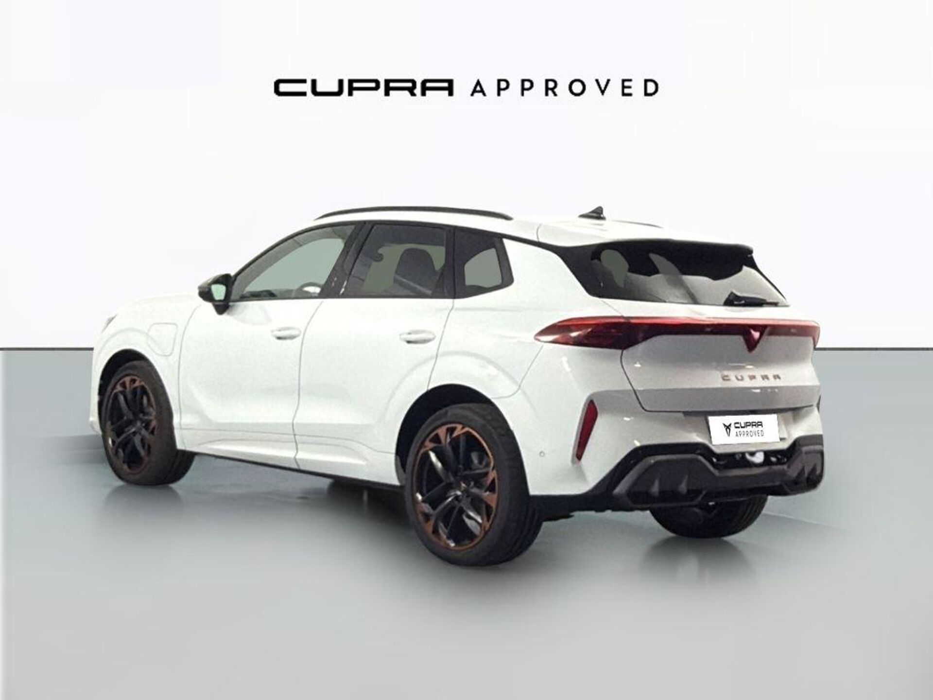 Imagen 2 de CUPRA Terramar