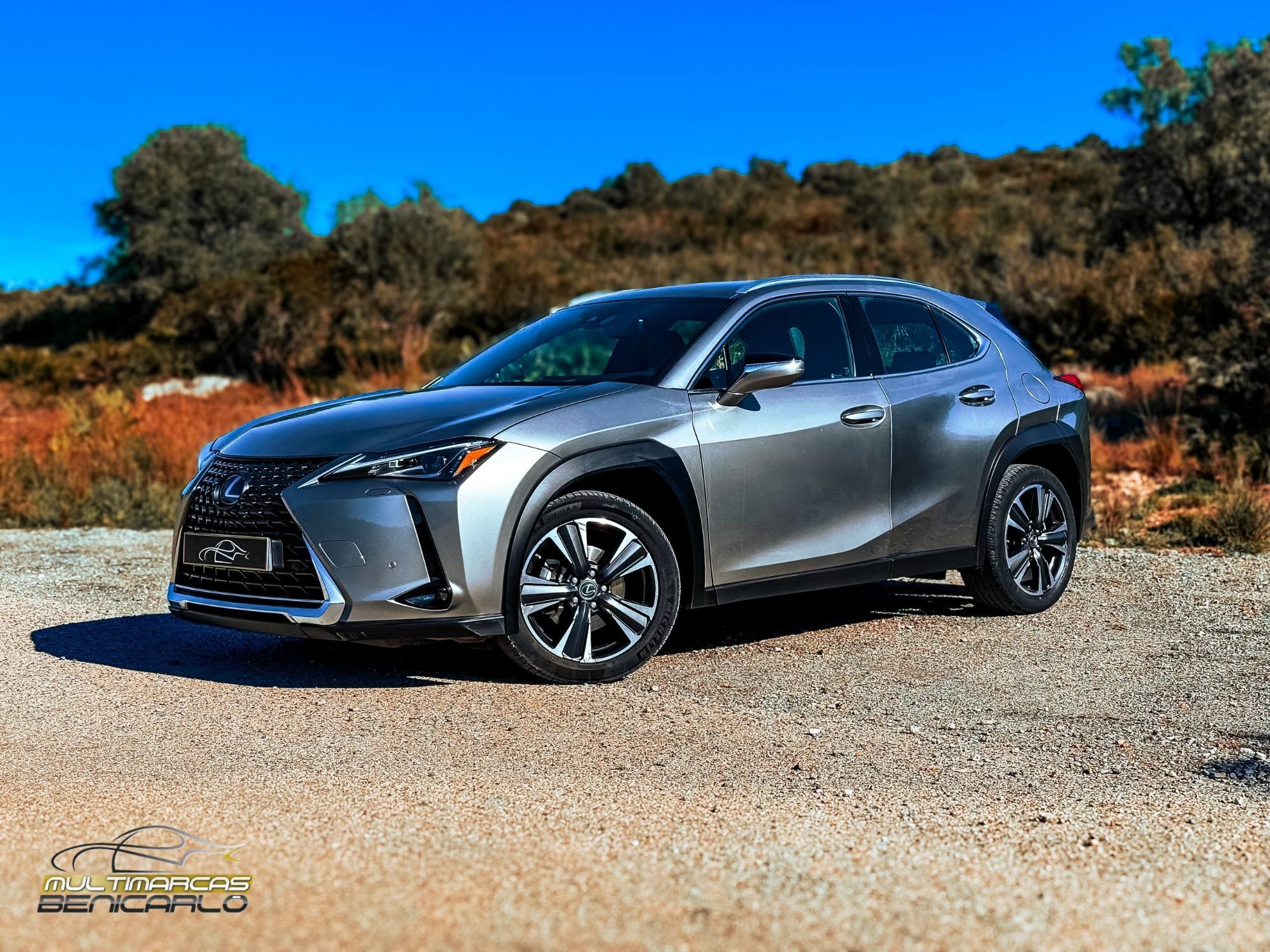 Foto del LEXUS UX 250h Premium 2WD
