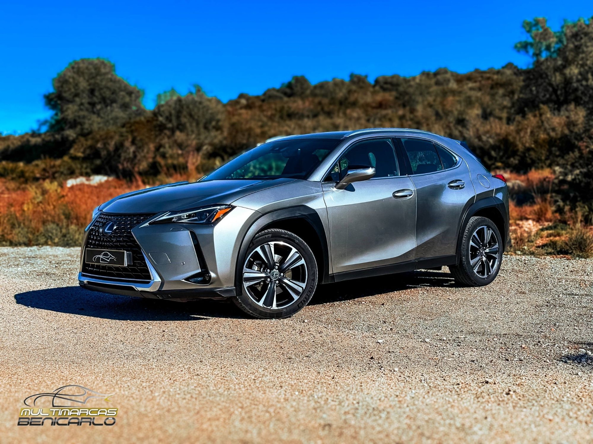 Imagen de LEXUS UX
