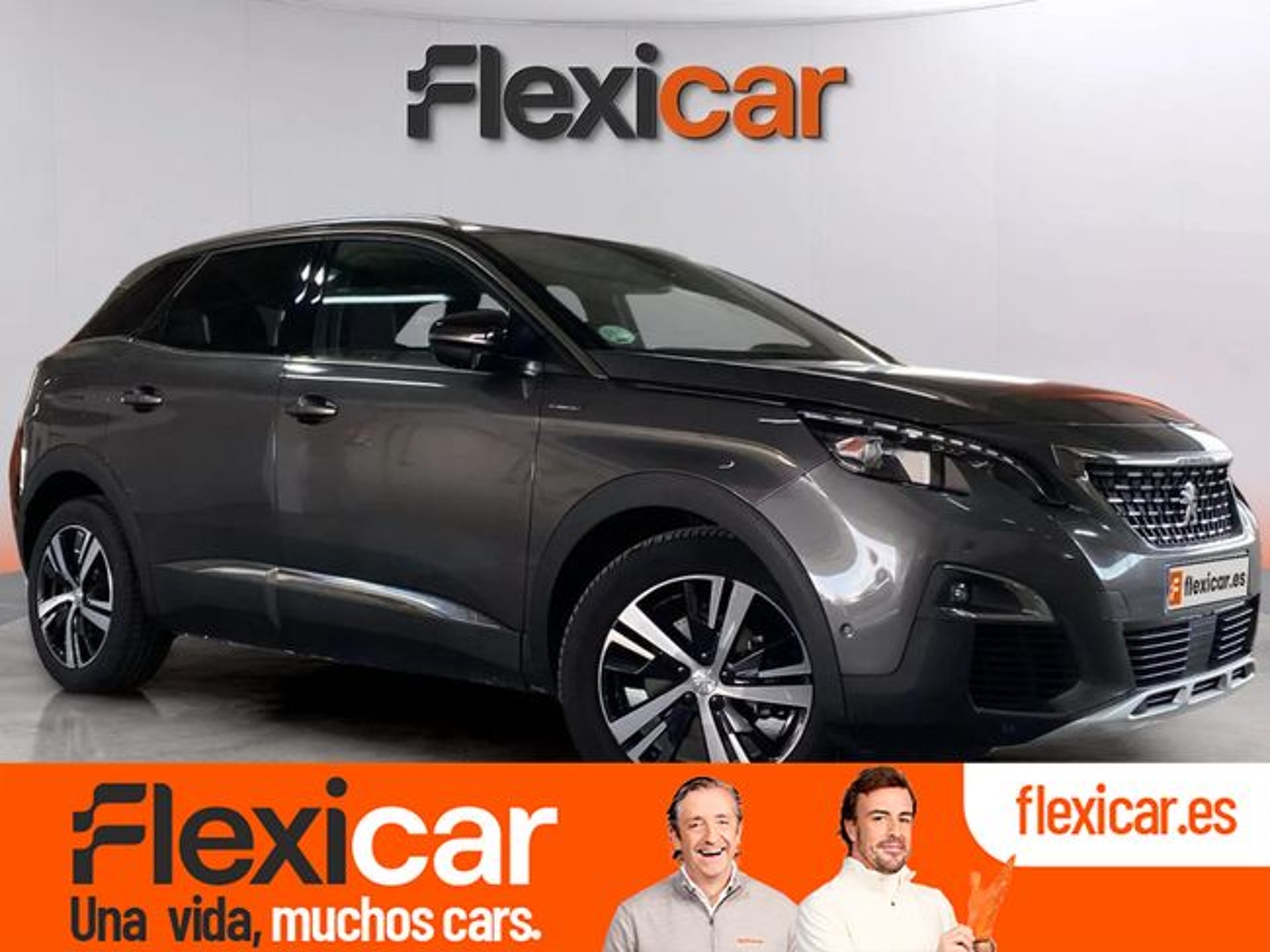 Imagen de PEUGEOT 3008