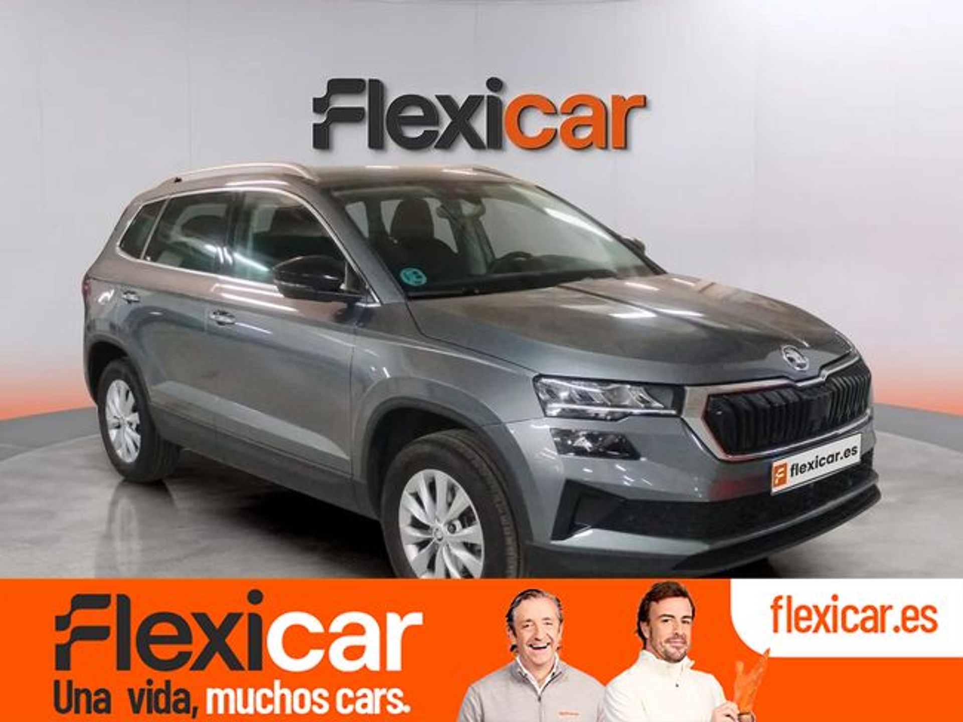 Imagen de SKODA Karoq