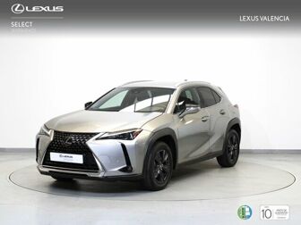 Imagen de LEXUS UX 250h Premium 2WD