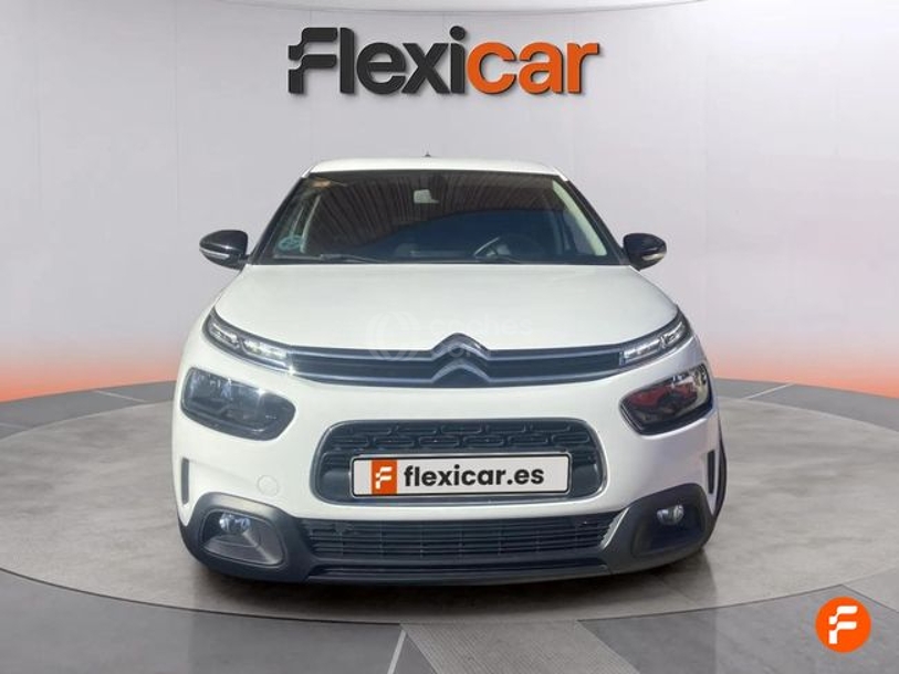 Foto del CITROEN C4 Cactus 1.5BlueHDi S&S Feel 100