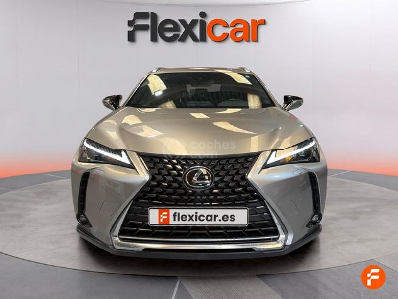 Foto del LEXUS UX 250h Business 4WD