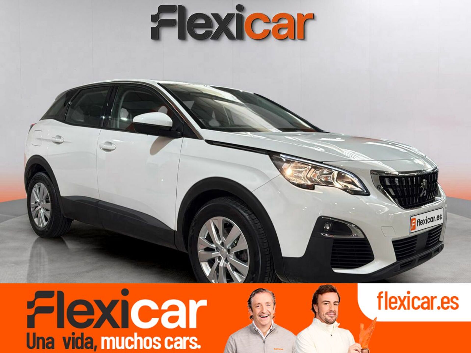 Imagen de PEUGEOT 3008