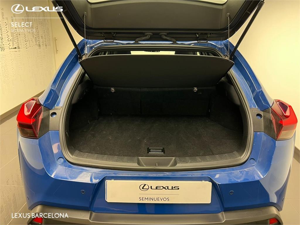 Foto del LEXUS UX 300h UX+