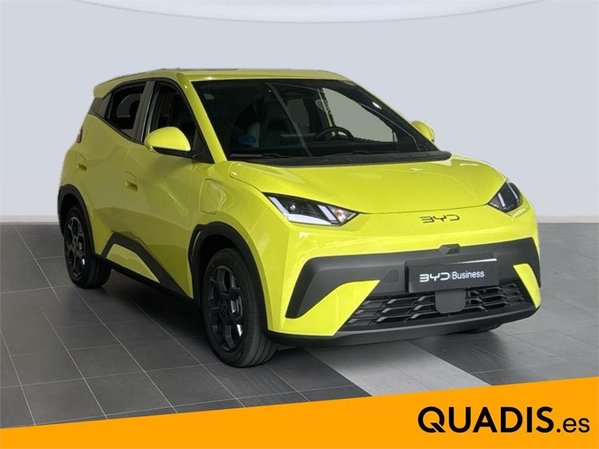 Imagen 3 de BYD Dolphin Surf